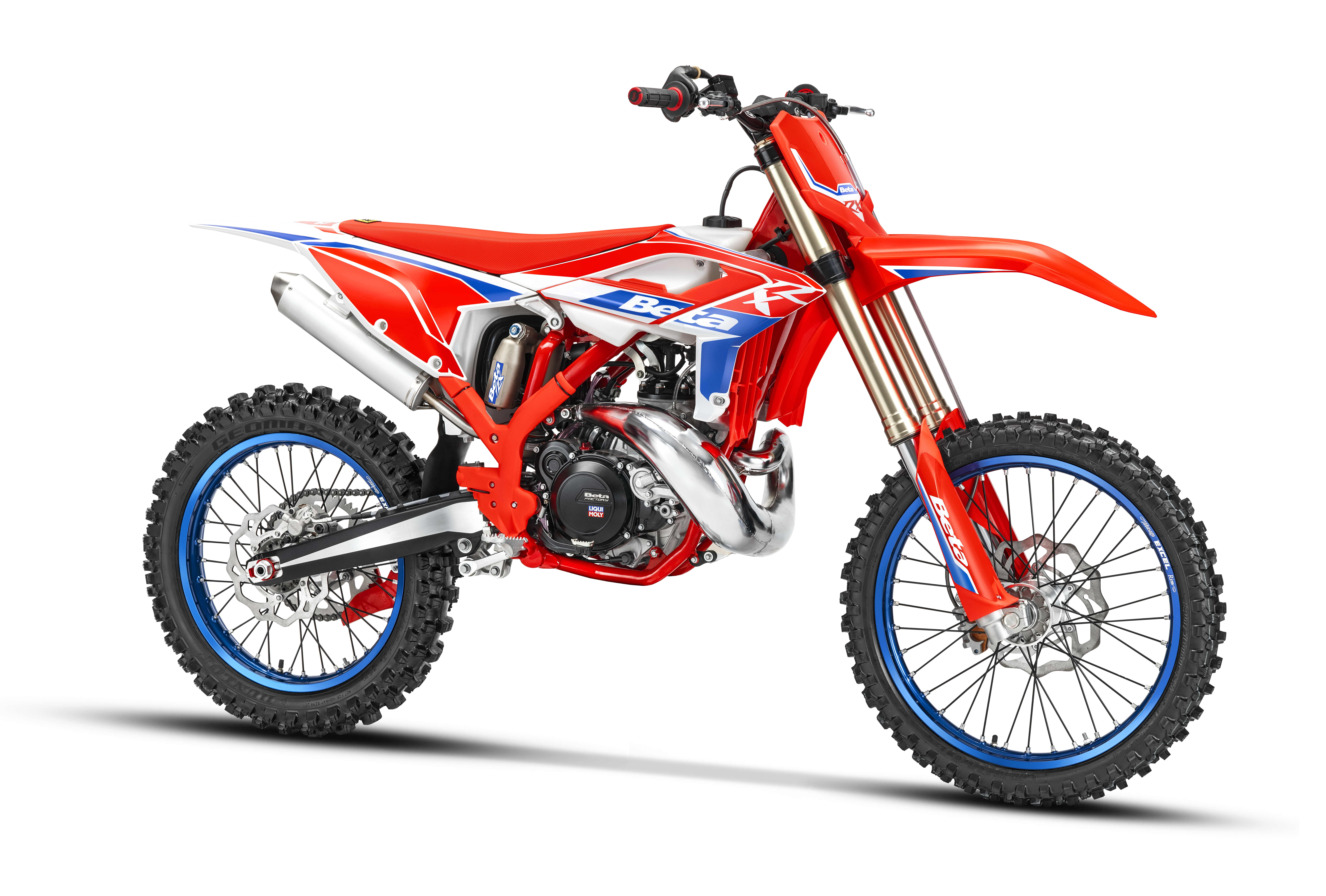 2026 Beta Motorcycles RX 250 250 in Loveland, CO