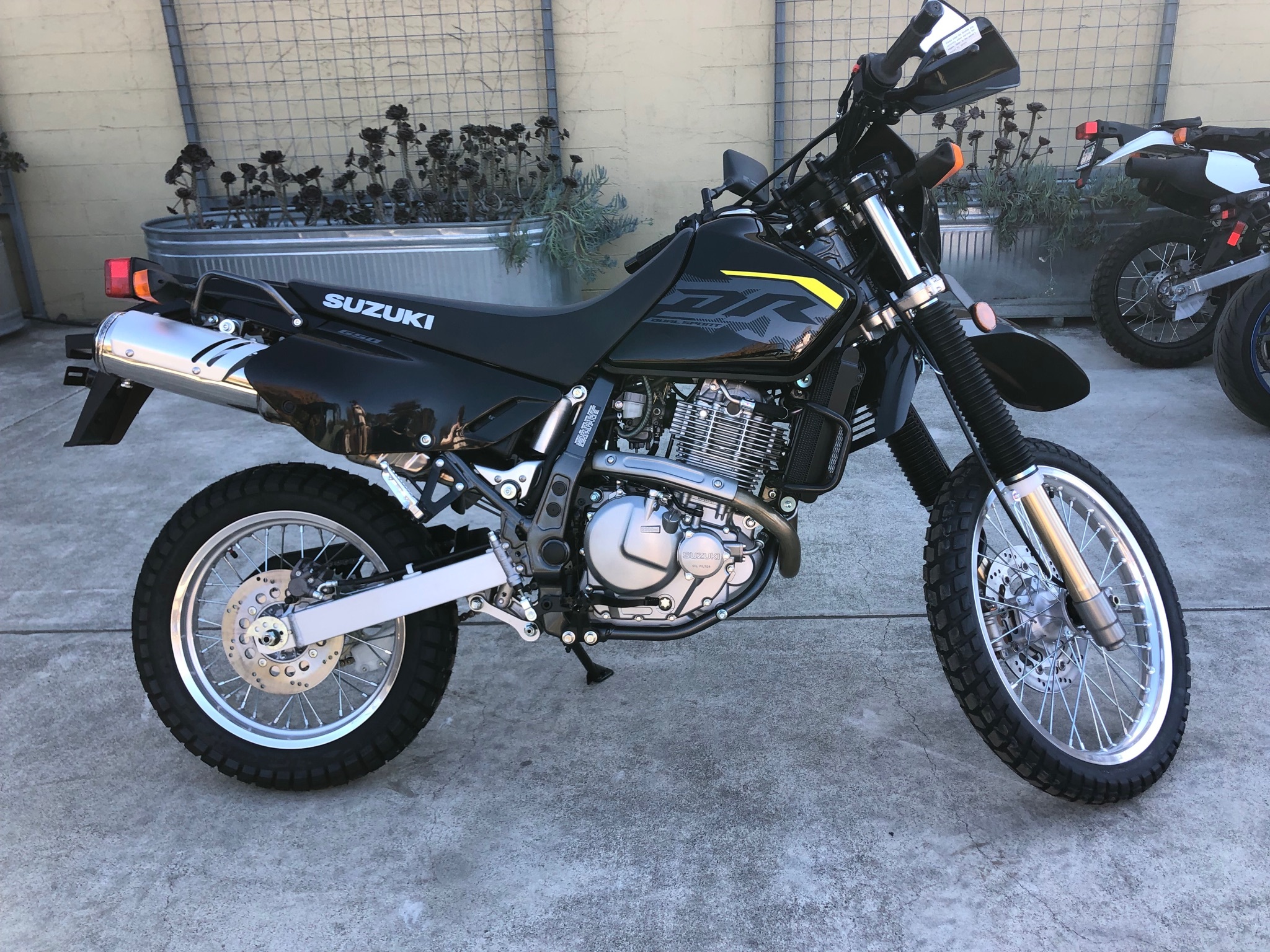 2027 Suzuki DR650S 650S in Santa Rosa, CA