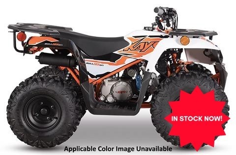 2025 Kayo Bull 125 EFI in sidney OH