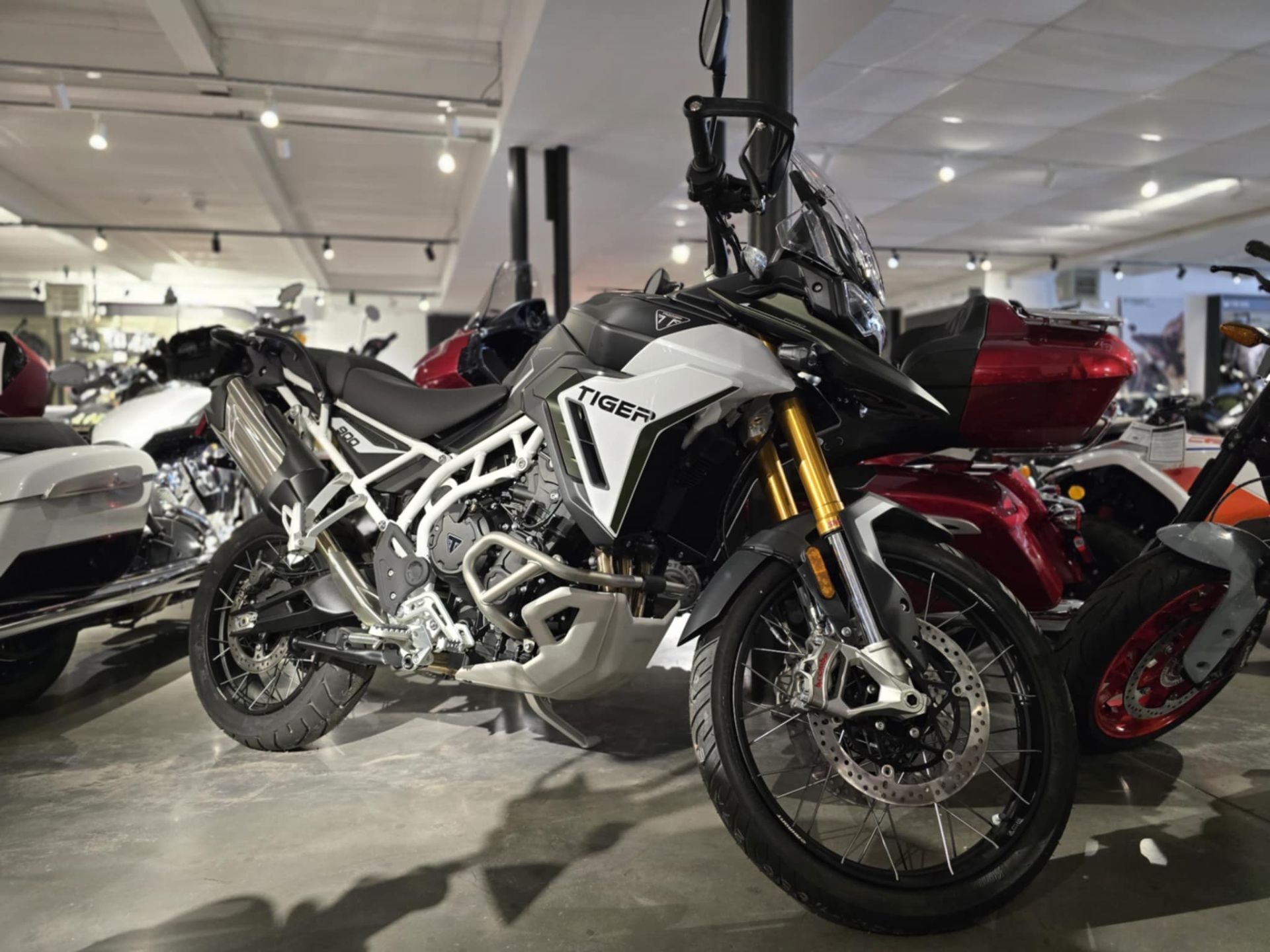 2025 Triumph Tiger 900 Rally Pro 900 RALLY PRO in Norwich, CT