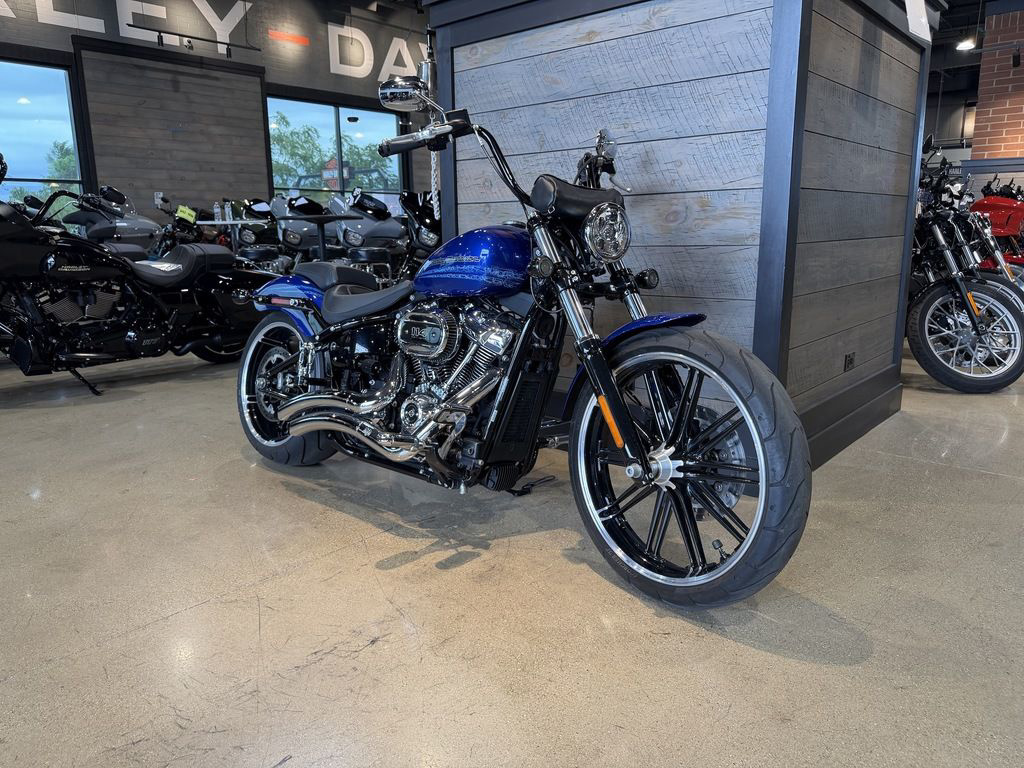 Used 2019 Harley-Davidson Fxbrs - Softail Breakout 114 For Sale in
