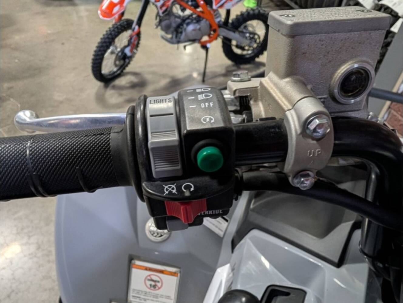 A photo of this 2024 Yamaha Grizzly EPS