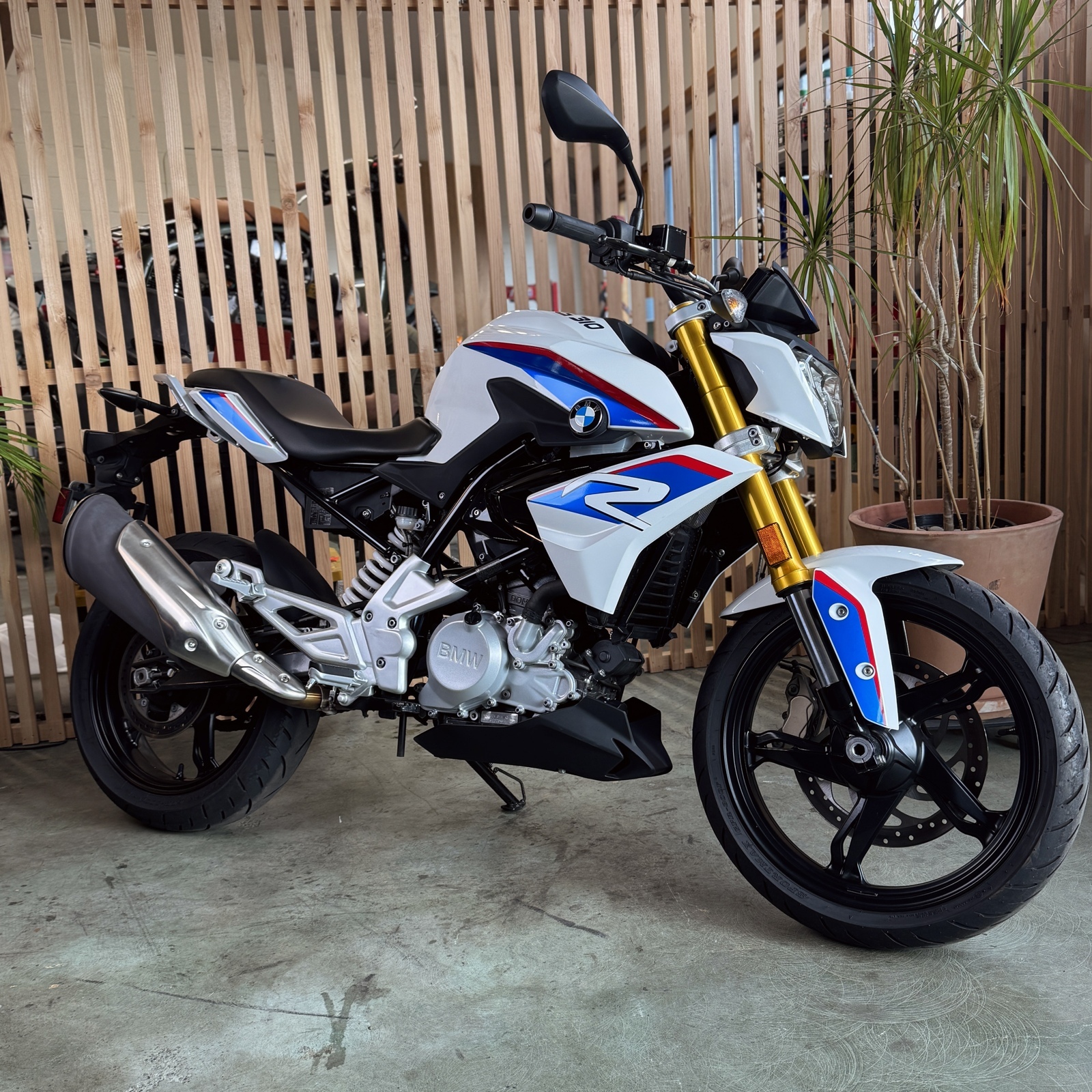 2019 BMW G310R 310 R in Seattle, WA
