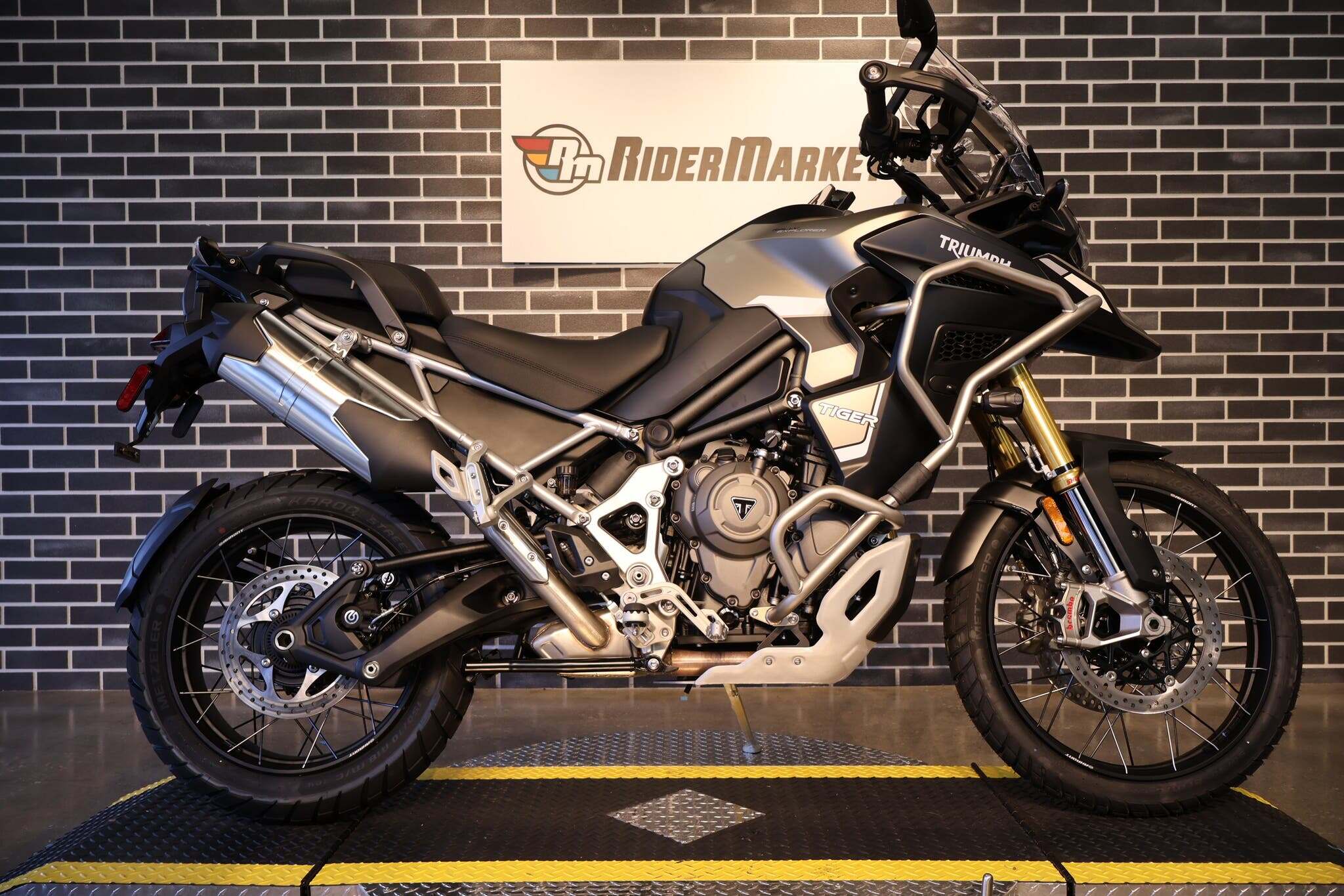 2025 Triumph Tiger 1200 RALLY EXPLORER RALLY EXPLORER in Ormond Beach, FL