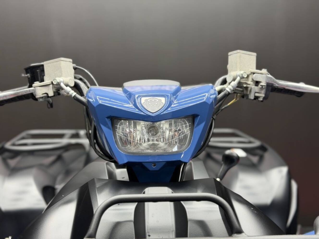 A photo of this 2023 Yamaha Grizzly EPS SE