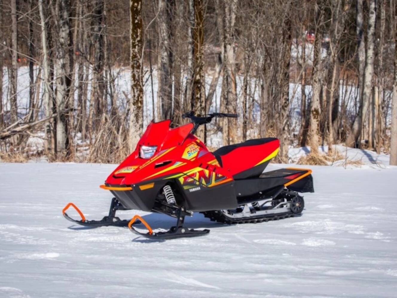A photo of this 2025 Yamaha Snoscoot ES
