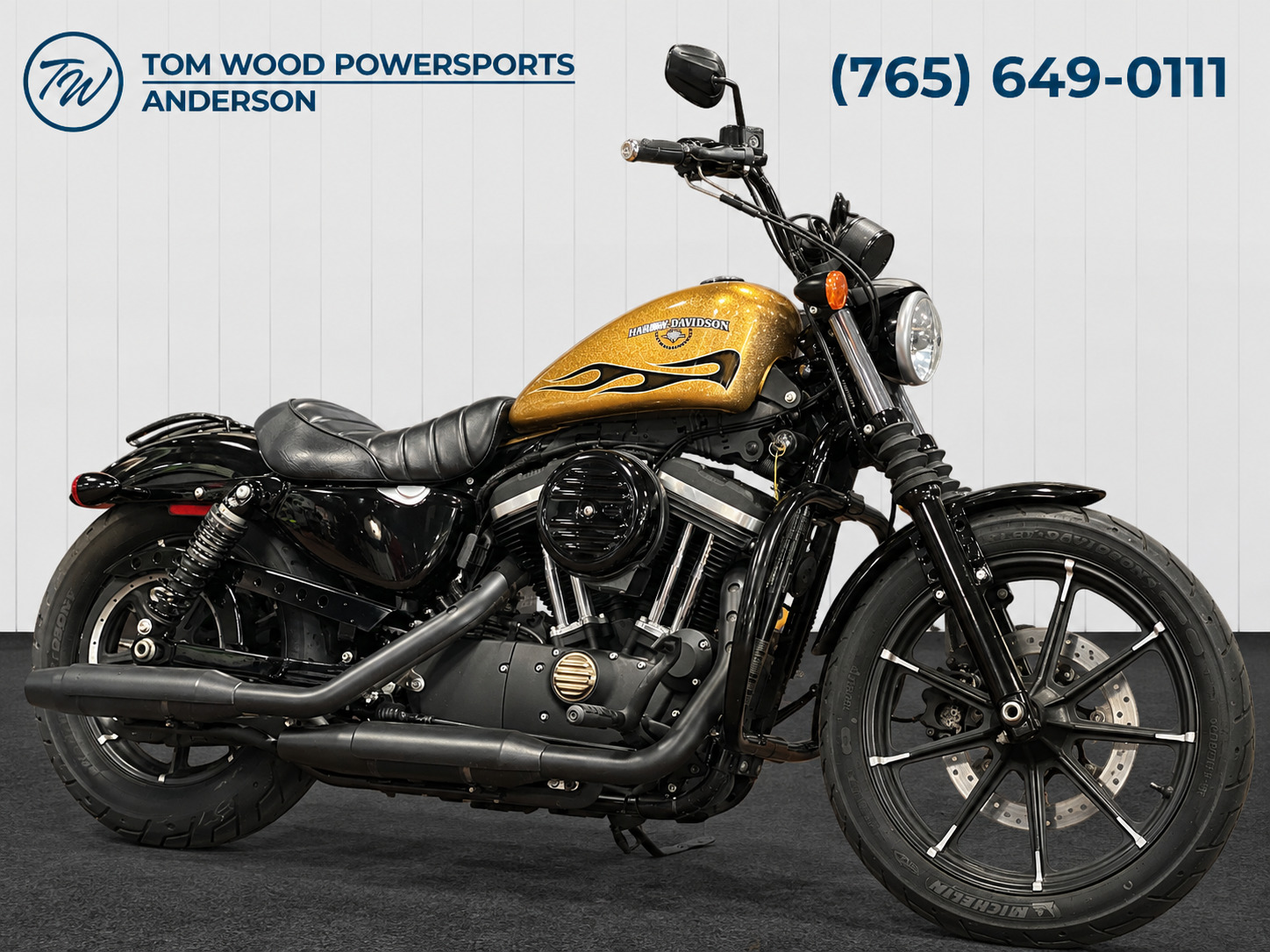 2016 Harley-Davidson Iron 883™ IRON in Anderson, IN