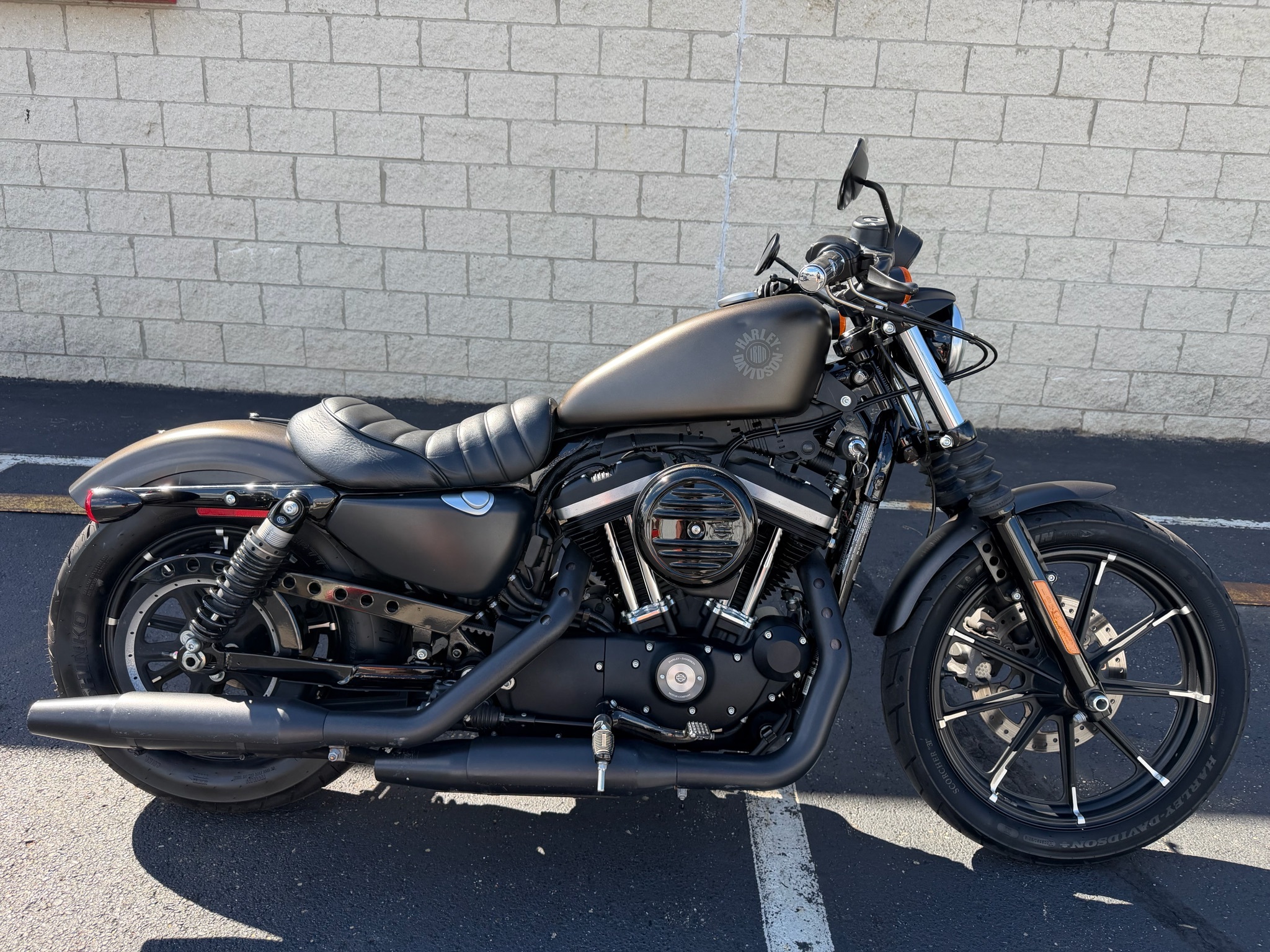 2021 Harley-Davidson Iron 883™ IRON in Massillon, OH