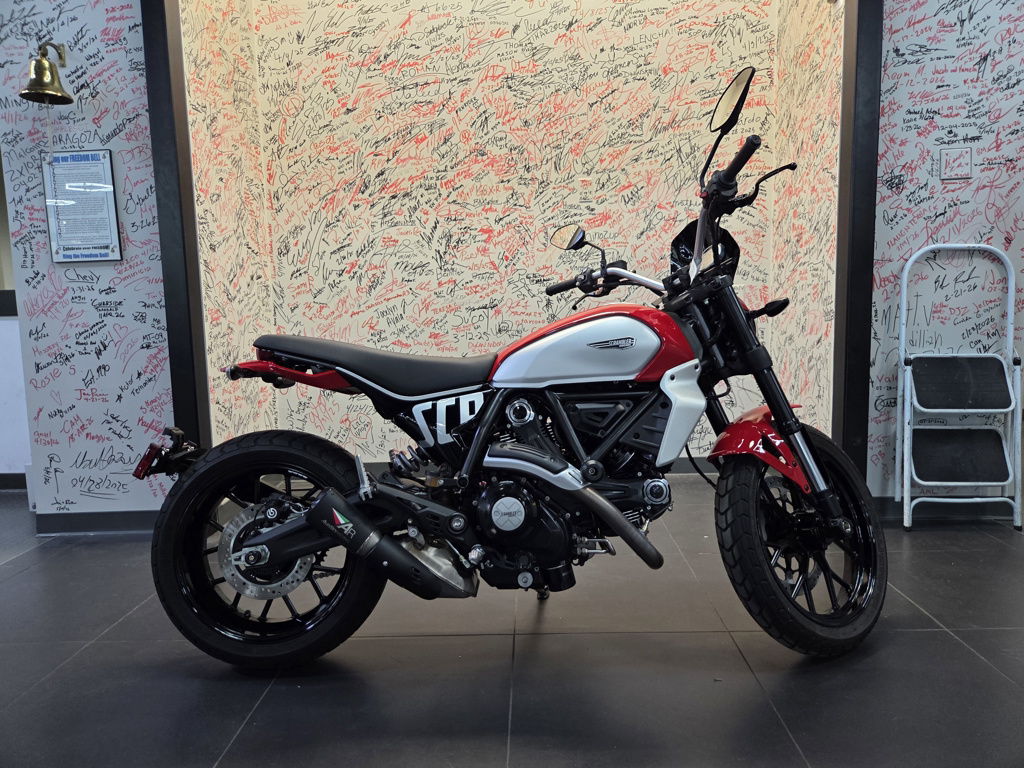 2024 Ducati Scrambler Icon ICON in Woodbridge, VA
