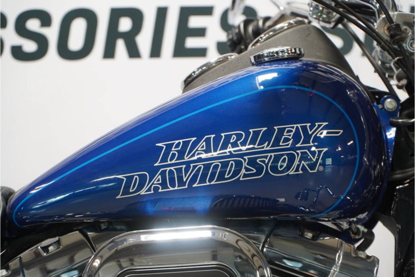 A photo of this 2016 Harley-Davidson® FXDL - Dyna® Low Rider®