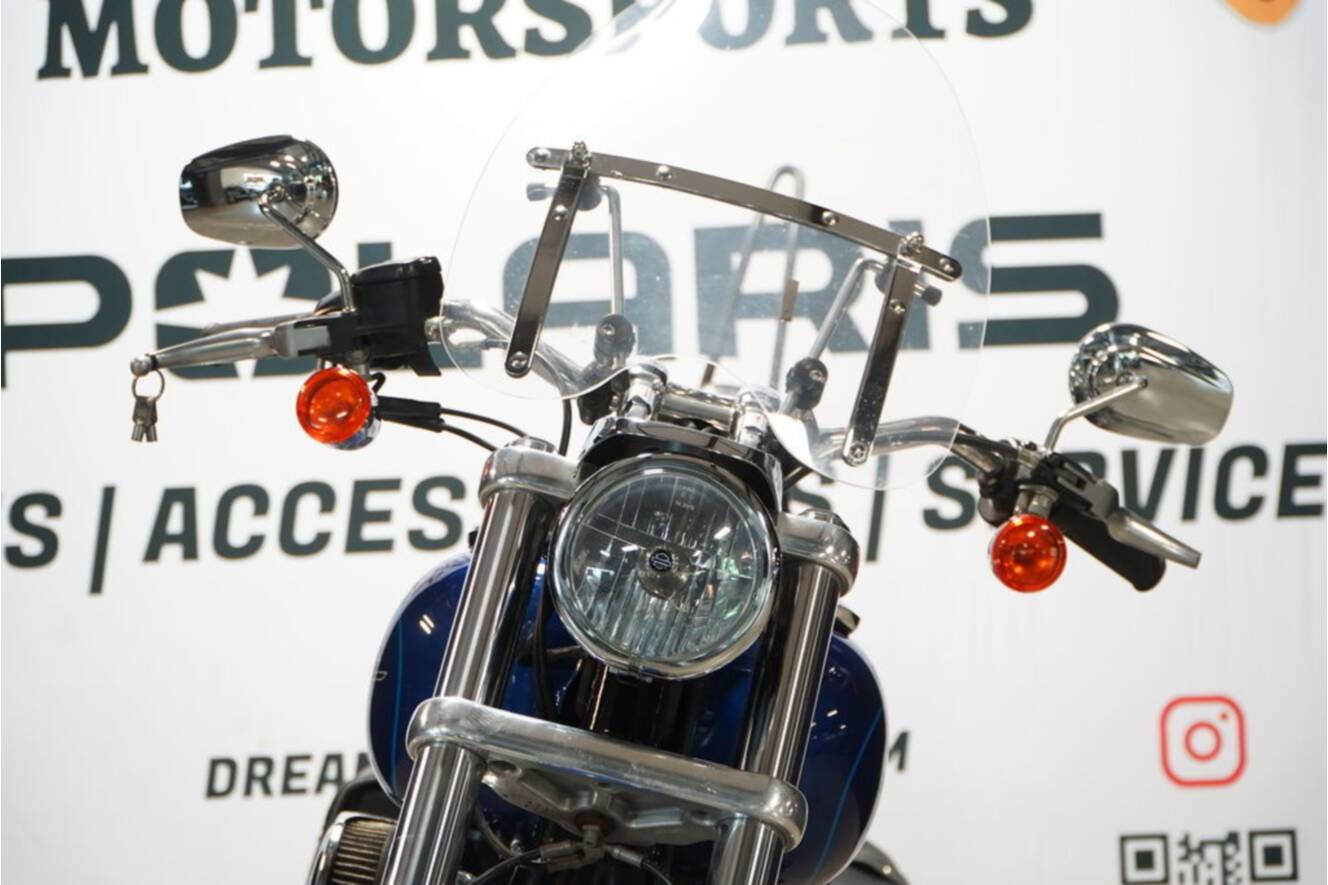 A photo of this 2016 Harley-Davidson® FXDL - Dyna® Low Rider®