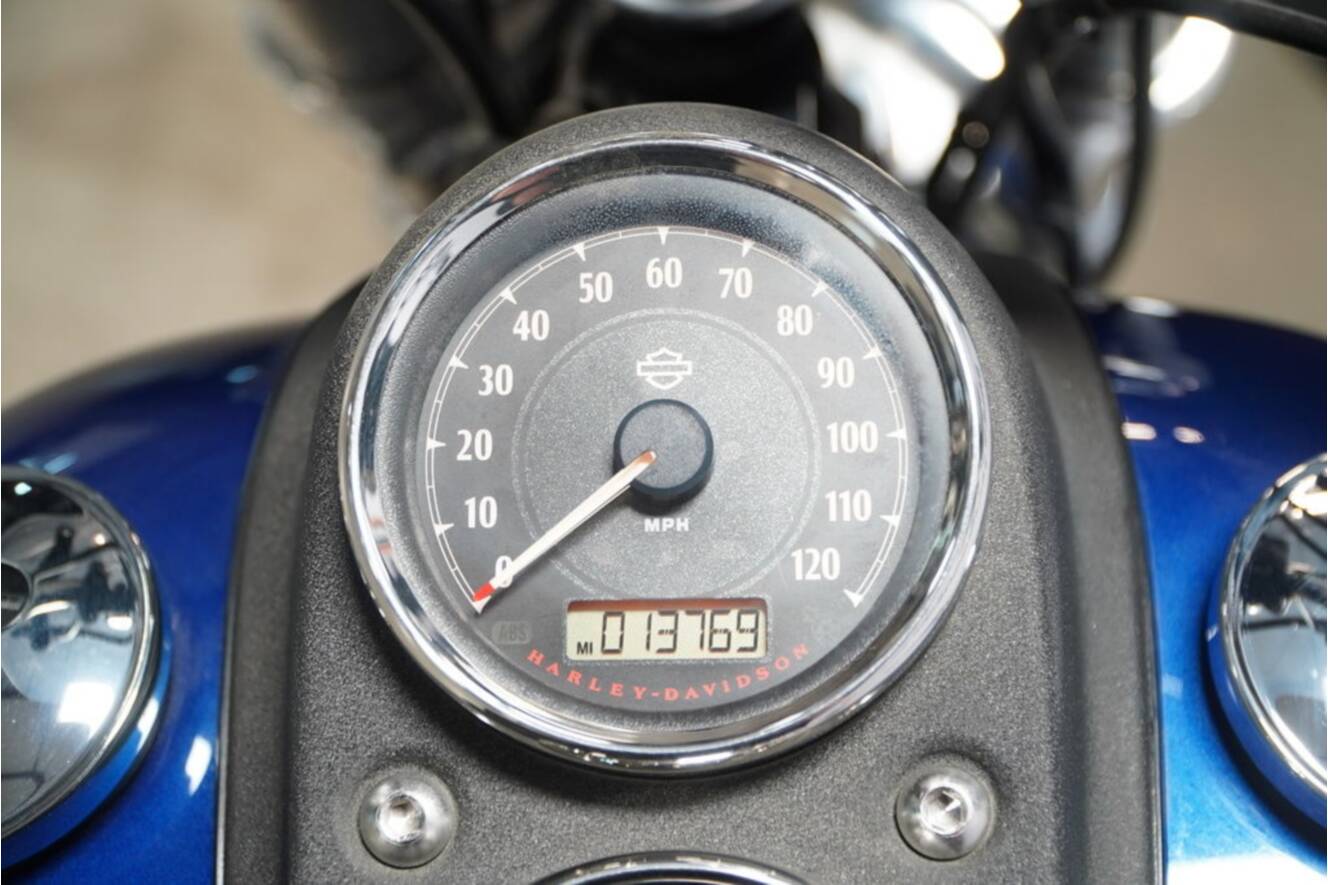 A photo of this 2016 Harley-Davidson® FXDL - Dyna® Low Rider®