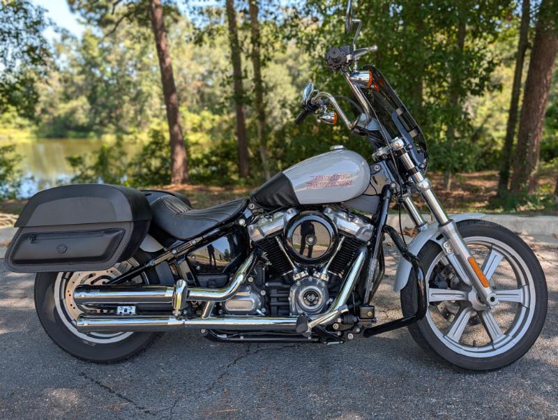 2024 Harley-Davidson SOFTAIL STANDARD STANDARD in Tallahassee, FL