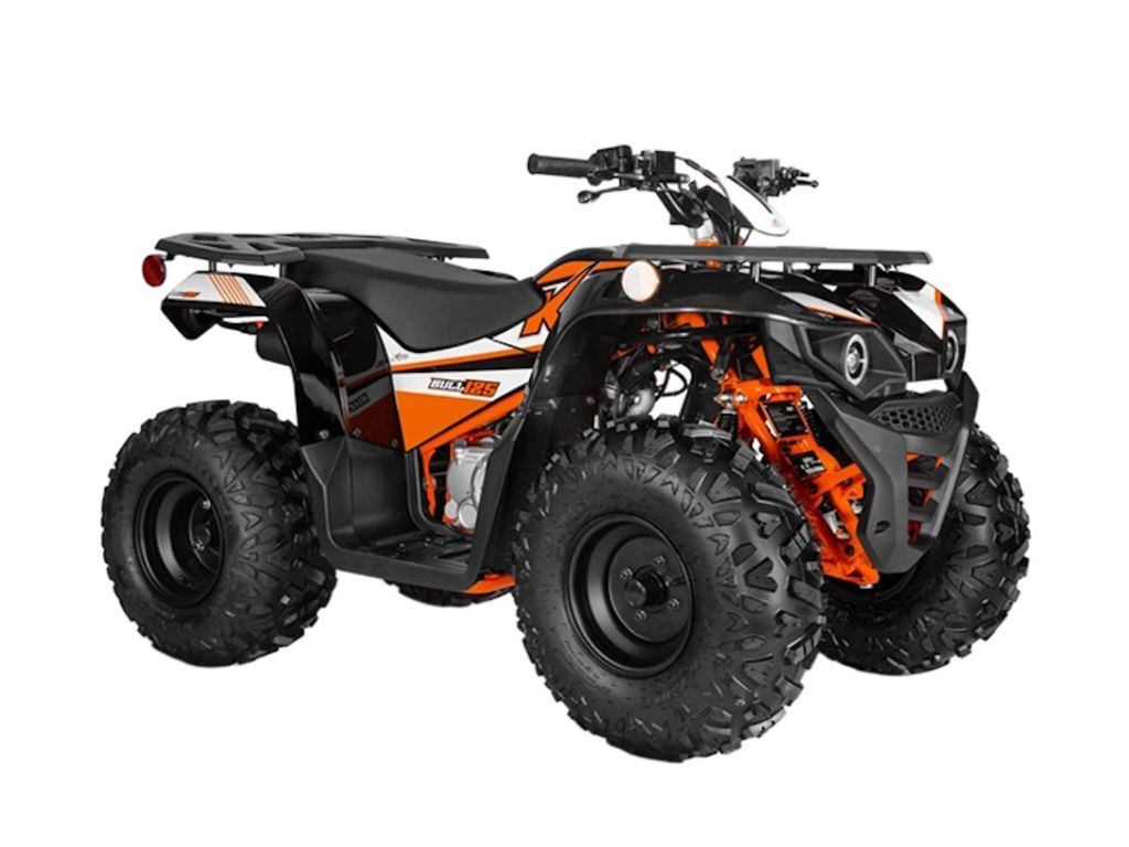 2025 Kayo Bull 125 in elyria OH