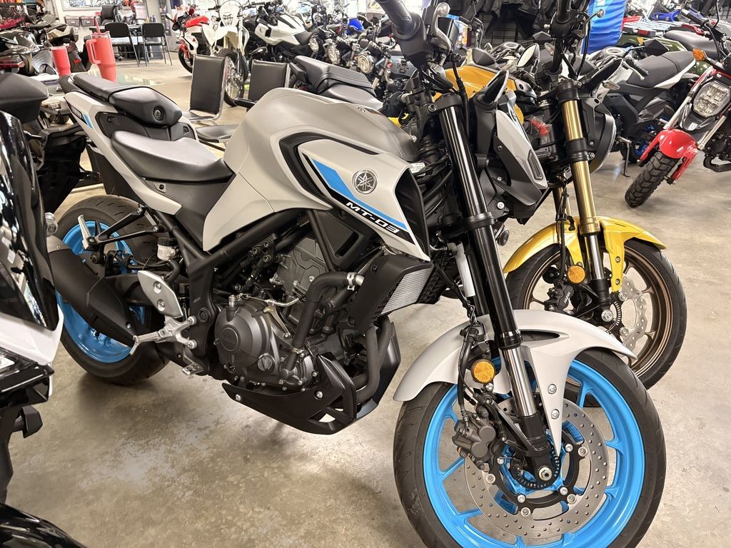 2025 Yamaha MT-03 03 in Toccoa, GA