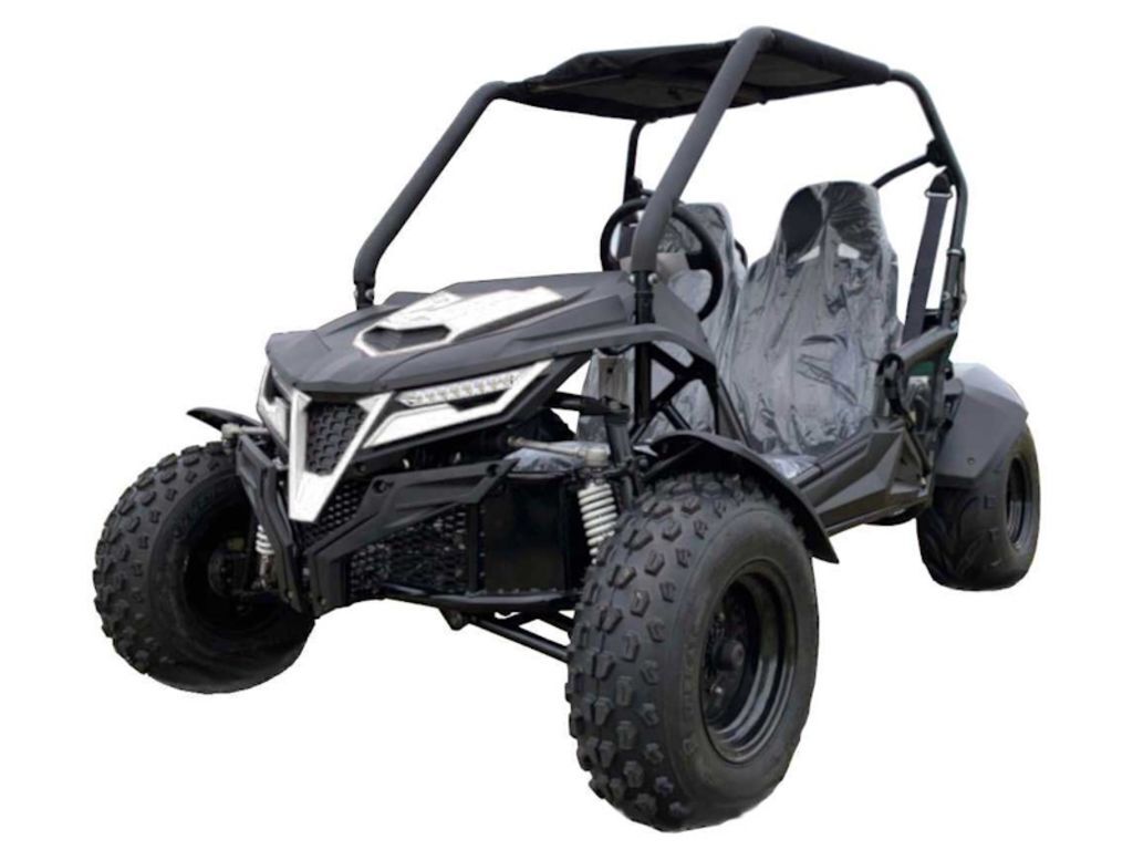 2026 Trailmaster Cheetah 200 Full Size Buggy Youth ATV