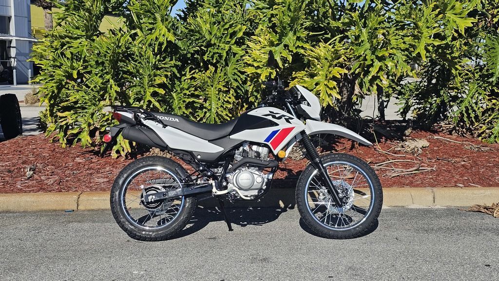 2026 Honda® XR150L 150L in Lakeland, FL