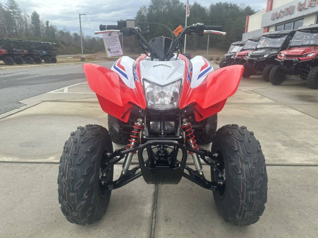 A photo of this 2026 Honda® TRX250X
