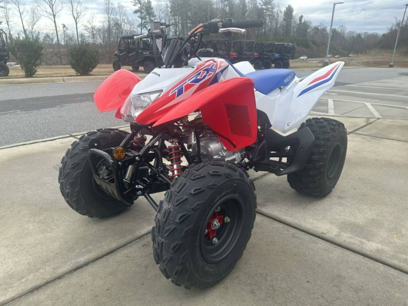 A photo of this 2026 Honda® TRX250X