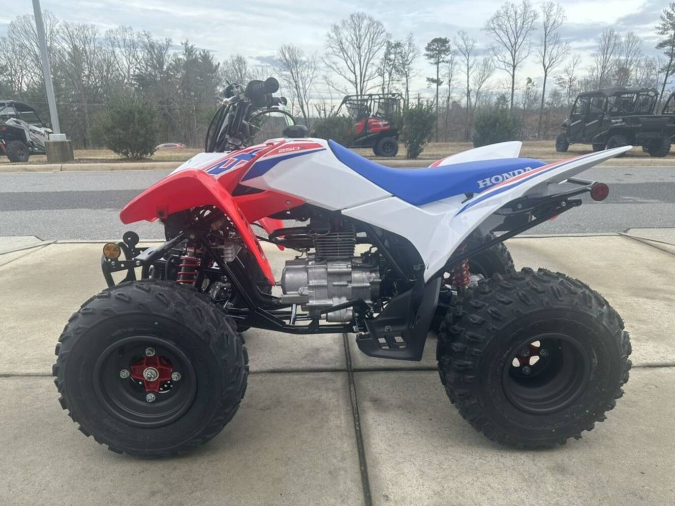 A photo of this 2026 Honda® TRX250X