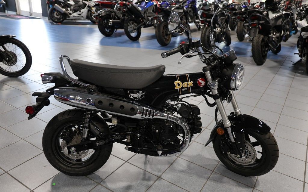 2026 Honda® Dax 125 125 in Oakland, FL