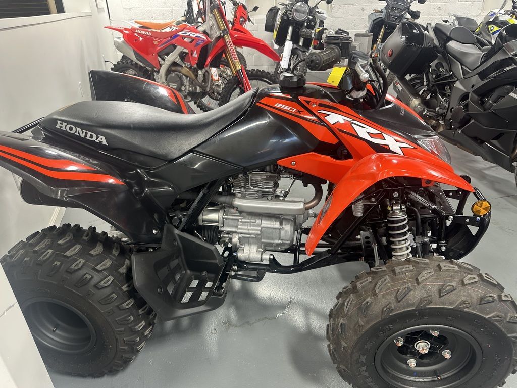 2024 Honda® TRX250X in williamsport PA