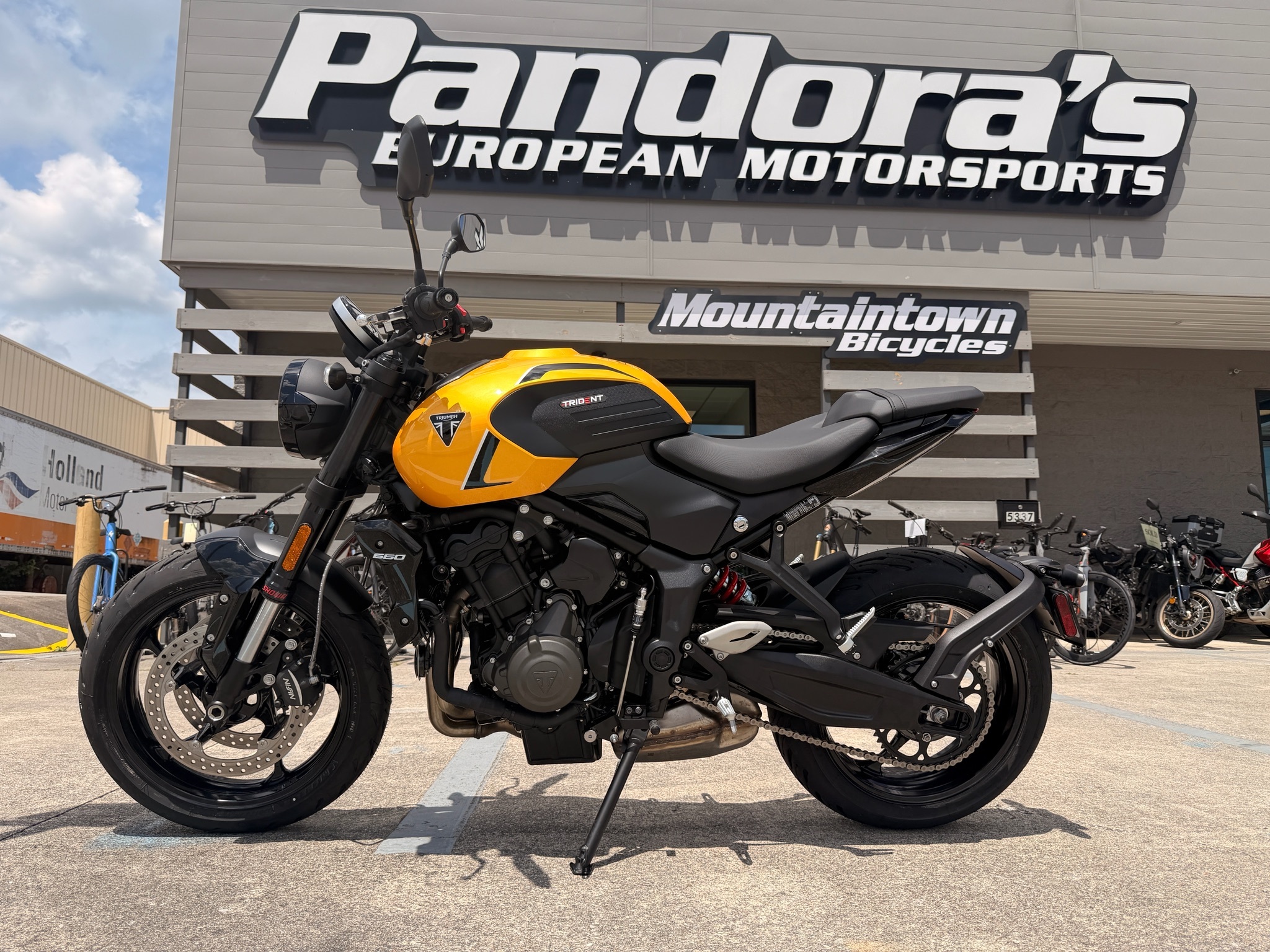 2026 Triumph Trident 660 660 in Chattanooga, TN