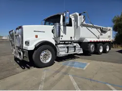 2020 WESTERN STAR 4900FA