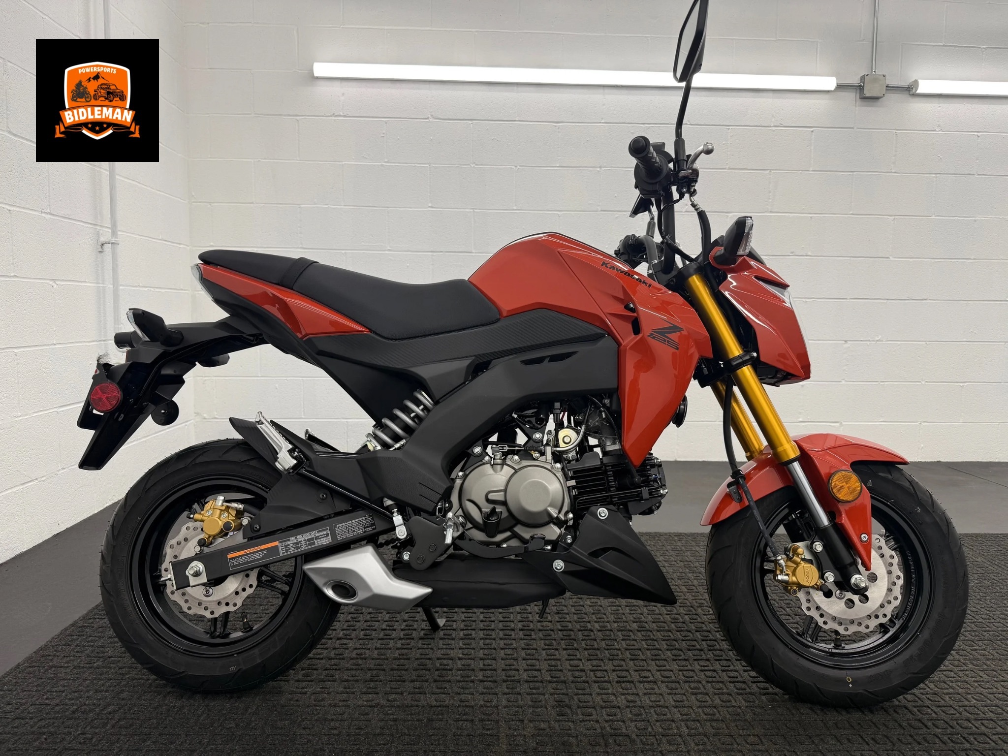 2025 Kawasaki Z125 Pro BASE in Rochester, NY