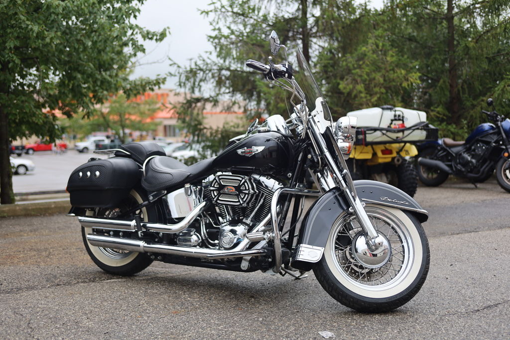 2013 Harley-Davidson® FLSTN - Softail® Deluxe DELUXE in Marysville, OH