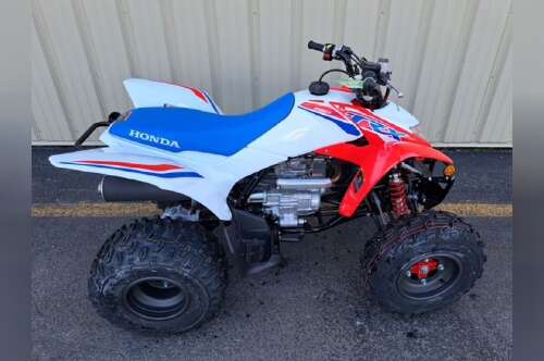 2026 Honda® TRX250X in bridgeport WV