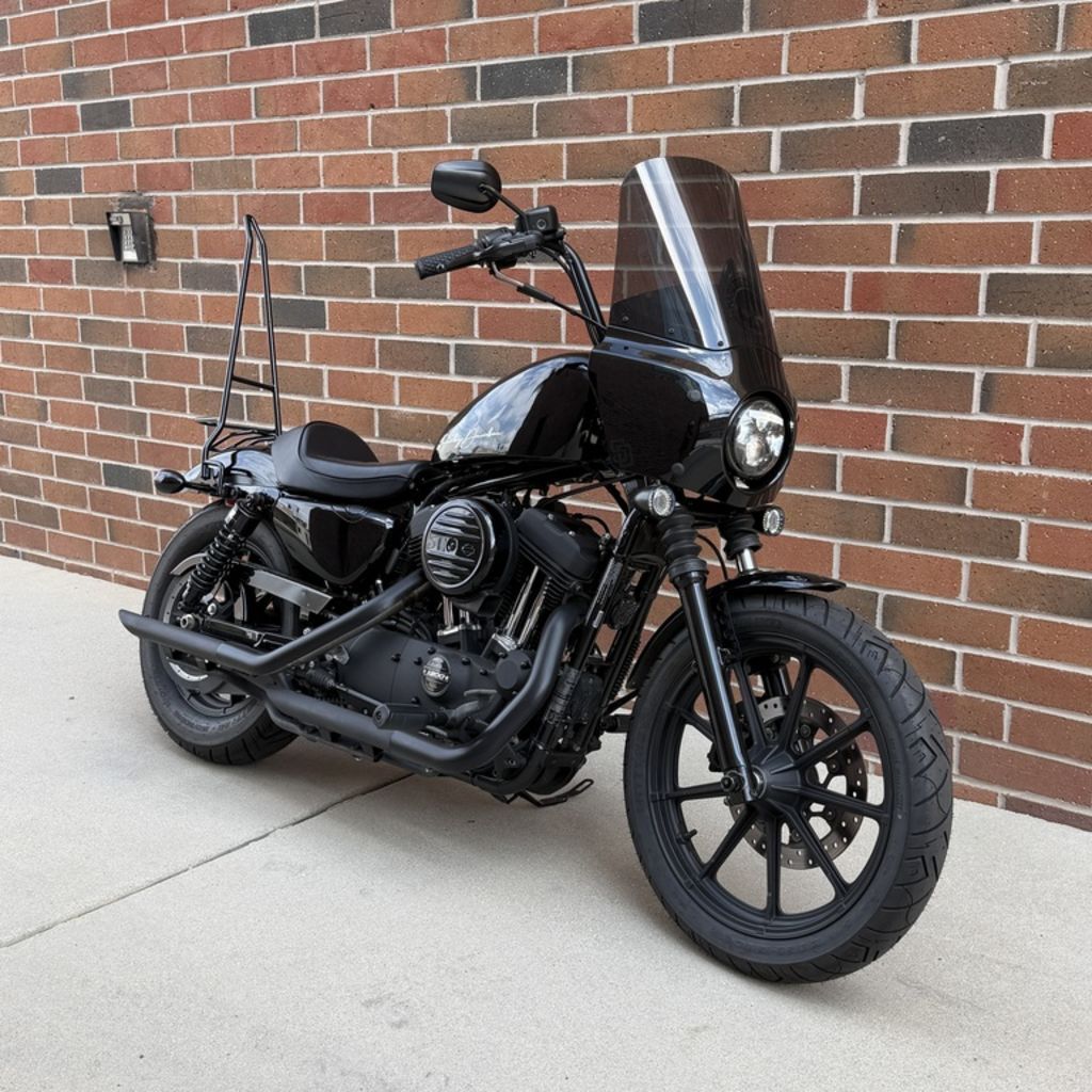 2020 Harley-Davidson® XL1200NS - Sportster® Iron 1200 in Van Nuys, CA
