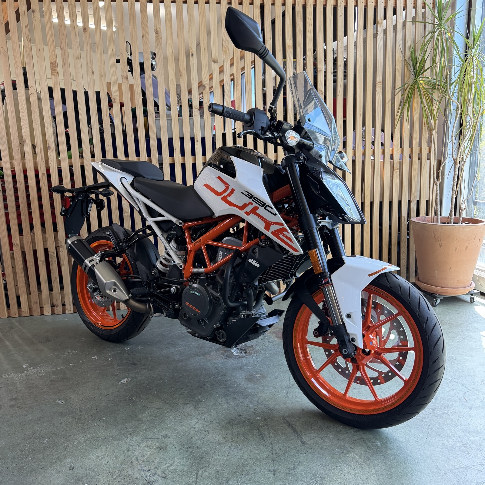 2019 KTM DUKE 390 DUKE in Seattle, WA