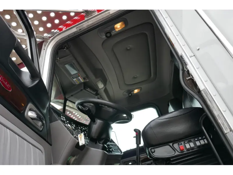 2019 PETERBILT 389
