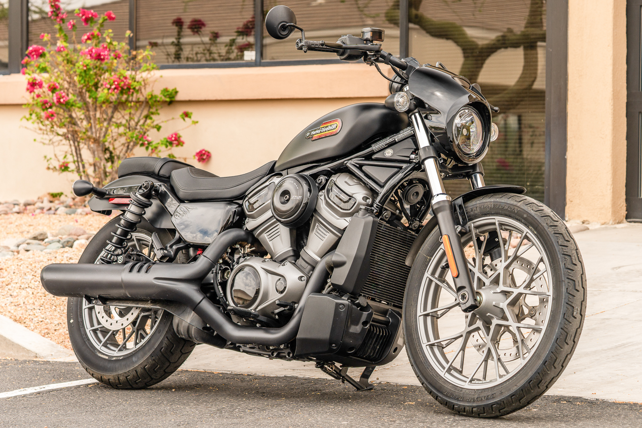 2024 Harley-Davidson SPORTSTER NIGHTSTER SPECIAL NIGHTSTER in Fountain Hills, AZ
