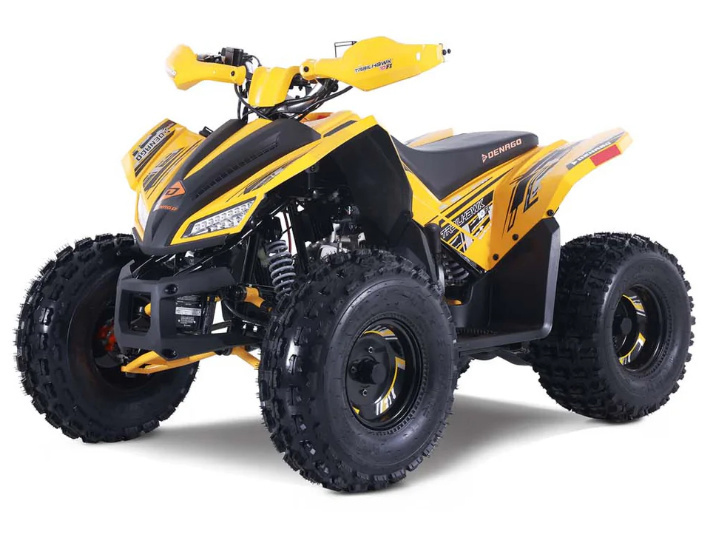 2026 Denago Powersports Trailhawk 10FI in south charleston WV