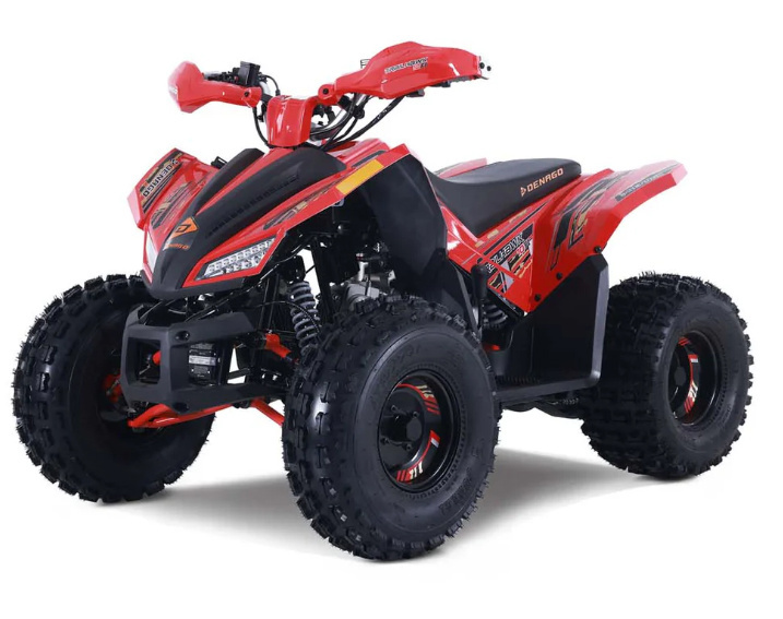 2026 Denago Powersports Trailhawk 10FI in south charleston WV