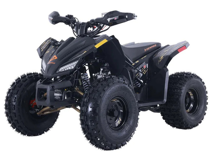 2026 Denago Powersports Trailhawk 10FI in south charleston WV