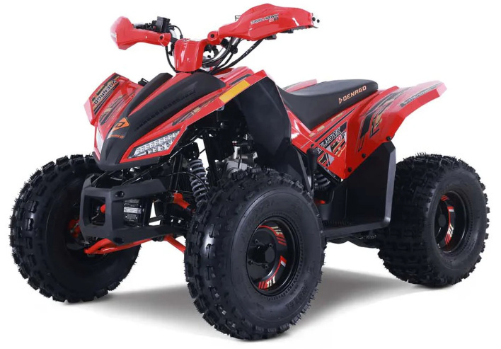 2026 Denago Powersports Trailhawk 10FI in south charleston WV