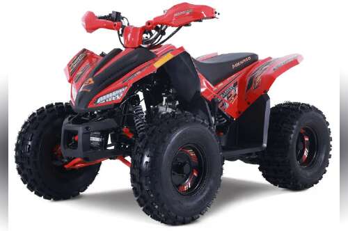 2026 Denago Powersports Trailhawk 10FI in south charleston WV