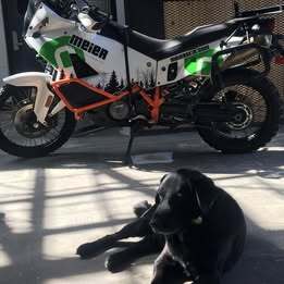 2013 KTM 990 ADVENTURE DAKAR DAKAR in Lakewood, CO