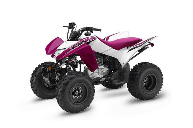 2023 Honda TRX 250X Sport ATV