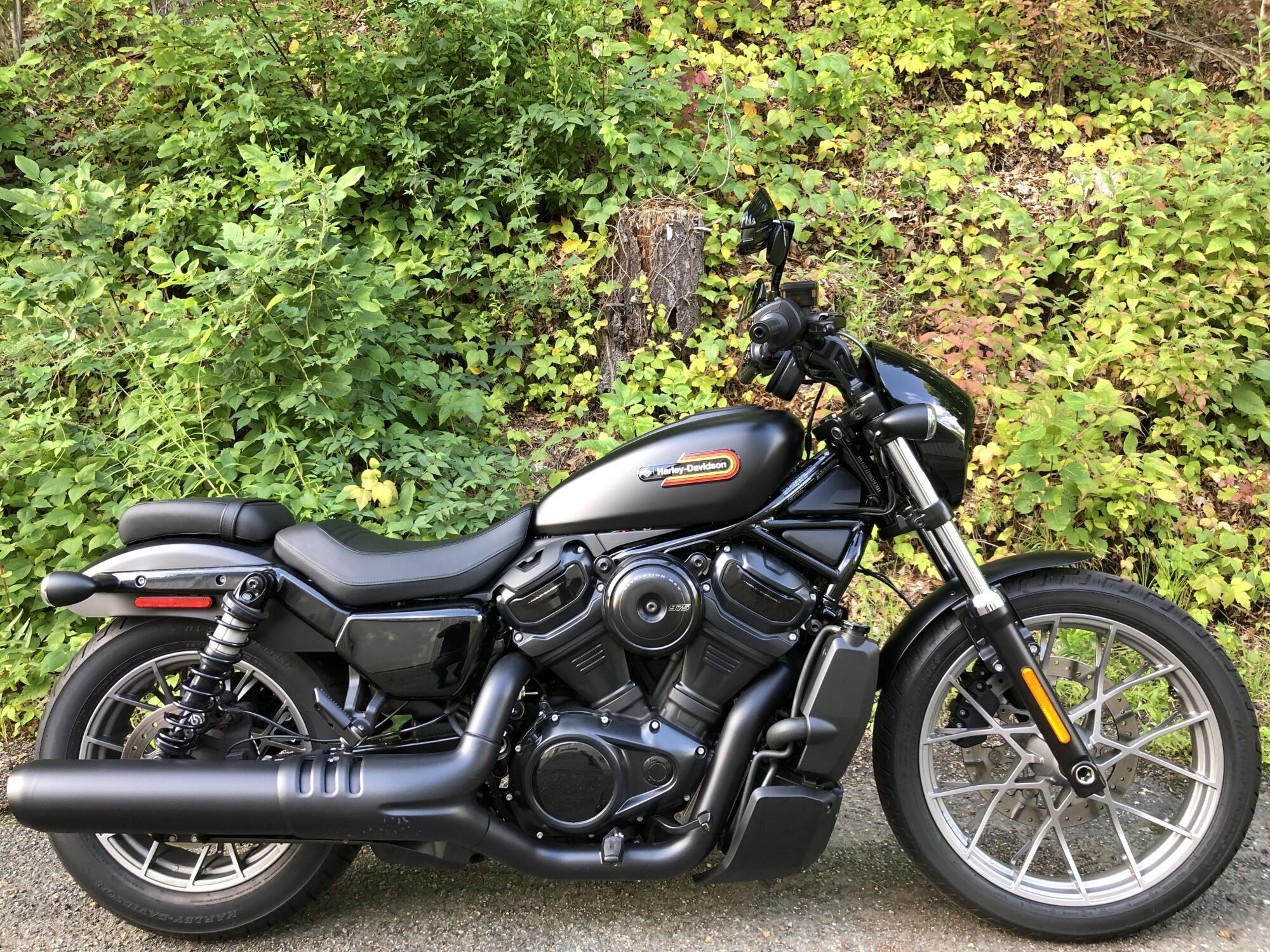 2025 Harley-Davidson Nightster Special NIGHTSTER in Bellingham, MA