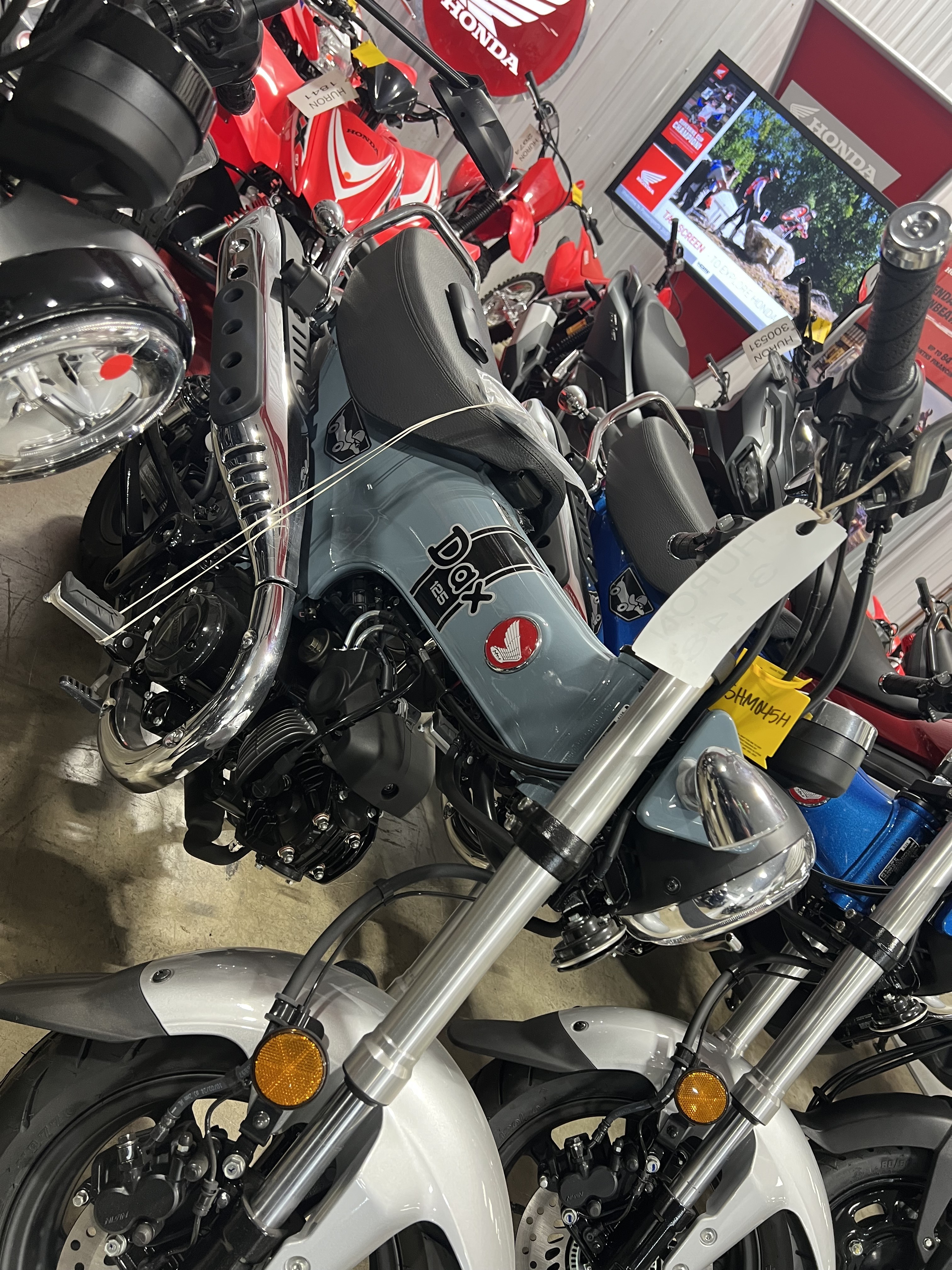 2025 Honda Dax 125 125 in Huron, OH