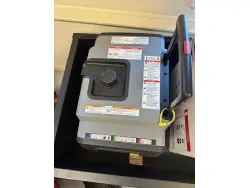 2021 Briggs & Stratton 030836