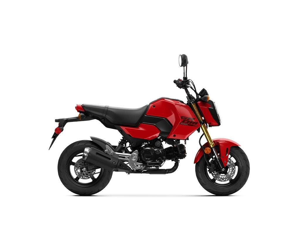 2026 Honda Grom in Manassas, VA
