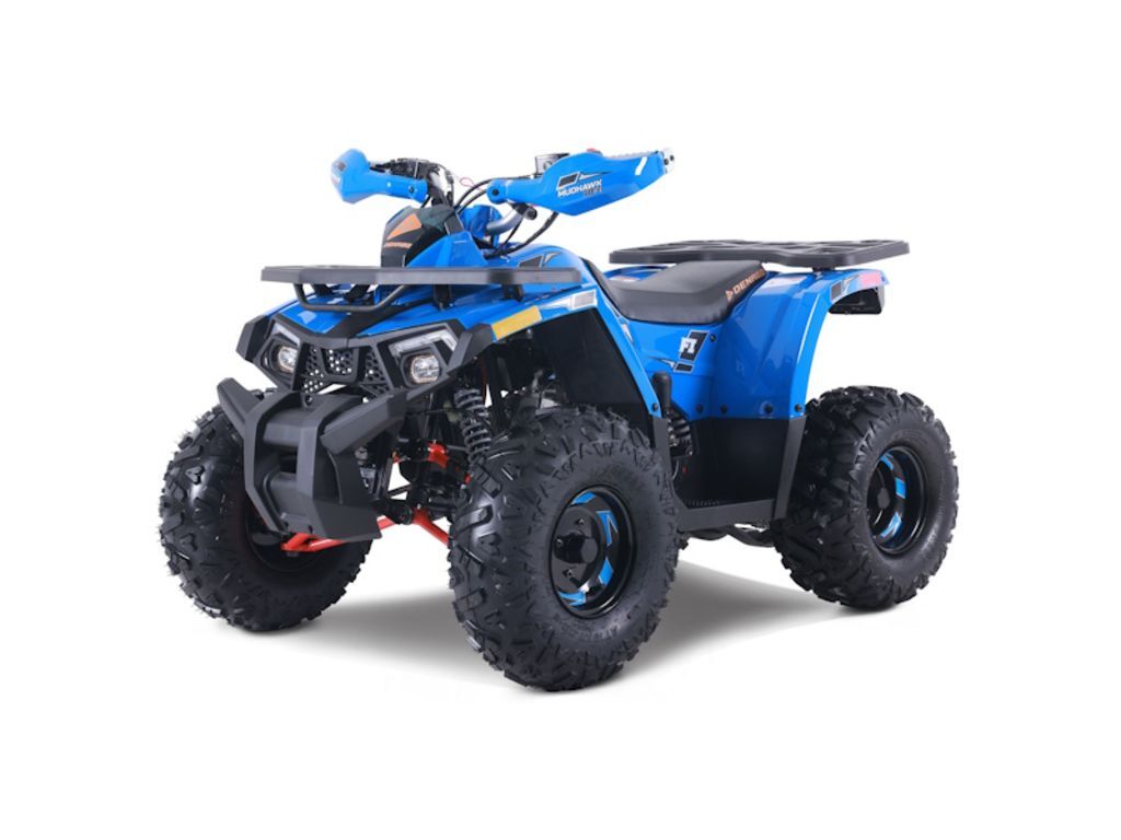 2026 Denago Powersports Mudhawk 10 FI in houston TX