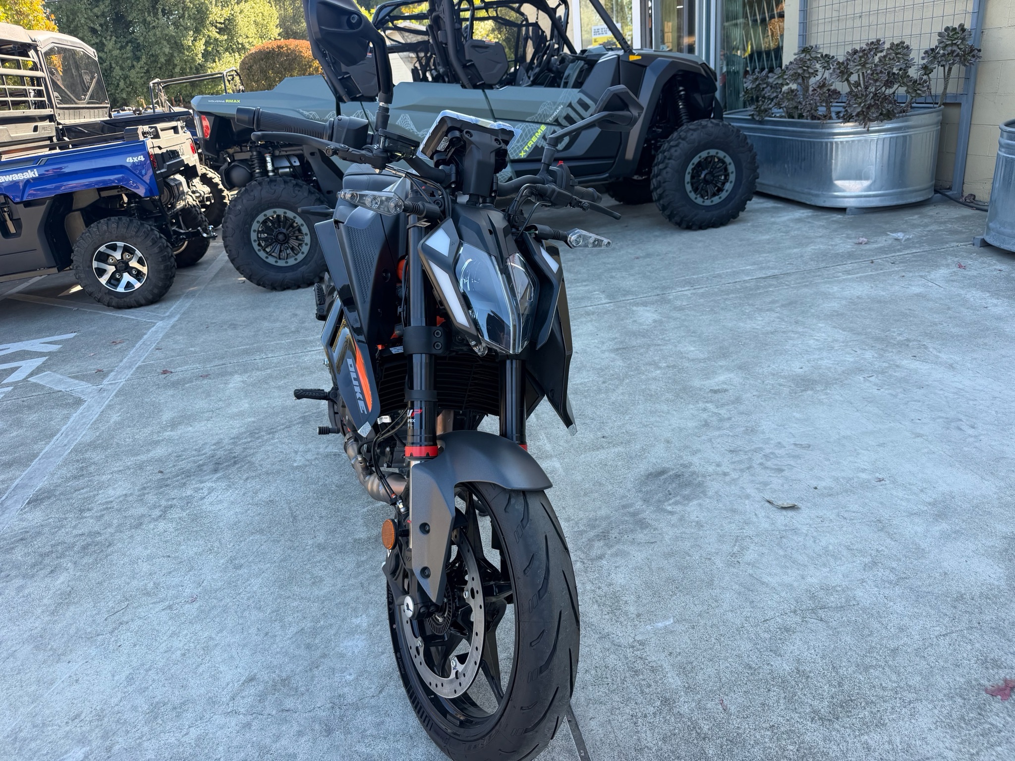 2026 KTM 390 Duke DUKE in Santa Rosa, CA