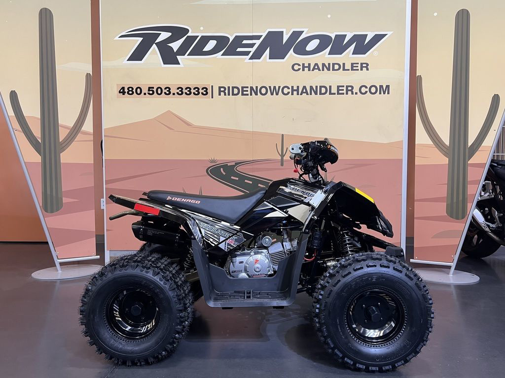 2026 Denago Powersports Trailhawk 10FI in chandler AZ