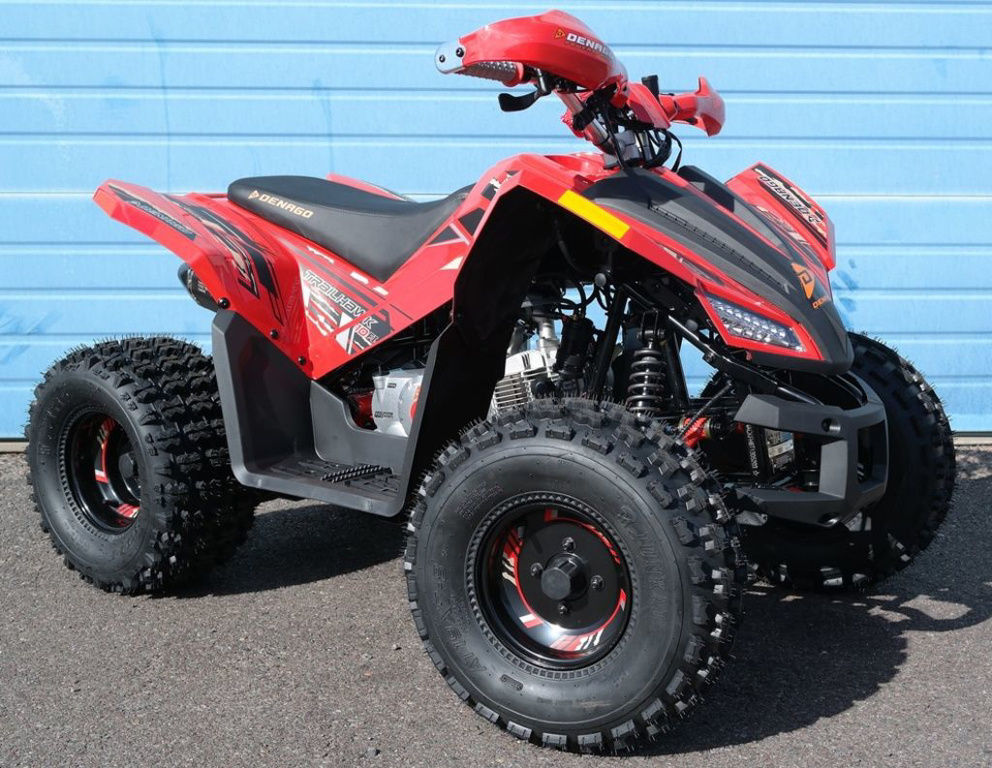 2026 Denago Powersports Trailhawk 10FI in 85032 AZ